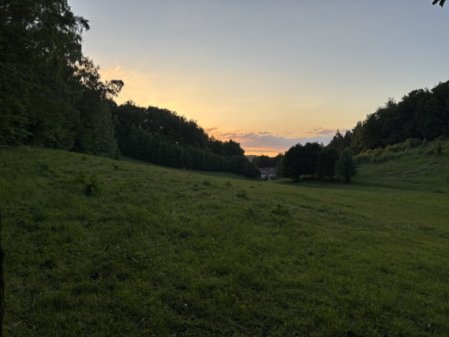 zielone_2